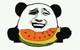 娱乐吃瓜君爆料遛鸟,遛鸟背后的明星趣事大揭秘  第2张